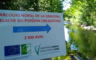 Ateliers Pêche Nature